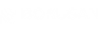 Borusan