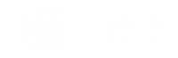 Hitit