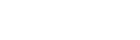 Metaverse